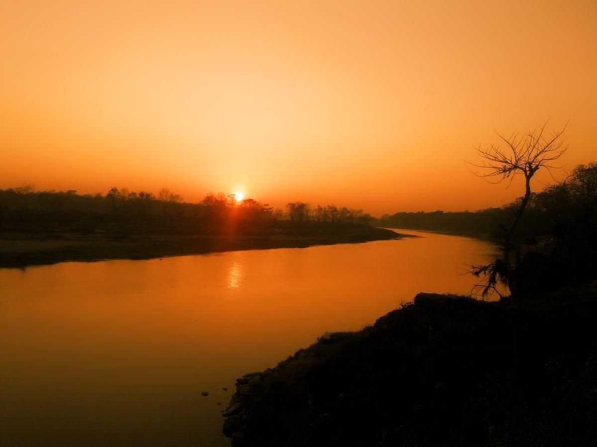 River Park Retreat Sauraha Esterno foto